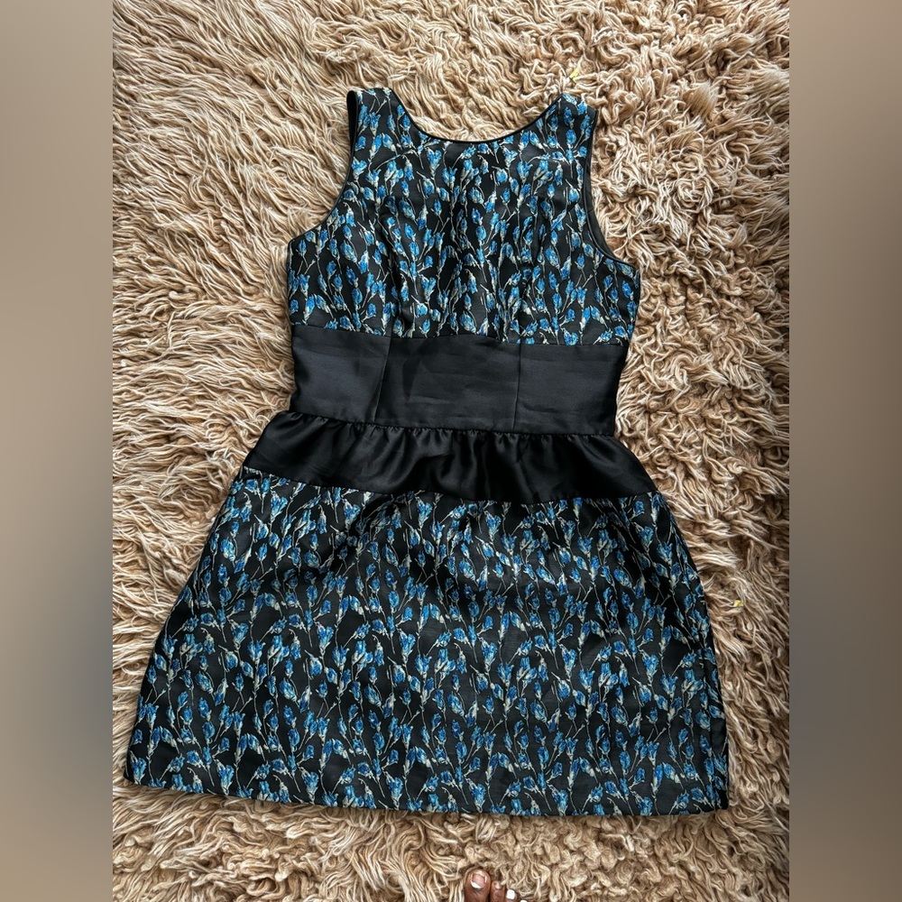 Bella Bradgley mischka dress